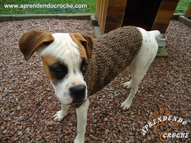 2º Parte - Roupinha de Croche para Cachorro Boxer - Aprendendo Crochê