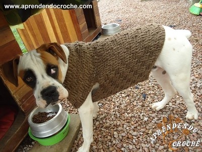 1º Parte - Roupinha de Croche para Cachorro Boxer - Aprendendo Crochê
