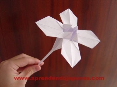 Origami Flower - Flor 2