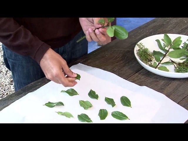 Aprenda a secar ervas aromáticas e usar na culinária