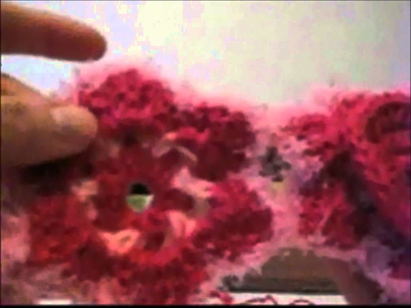 Crochê para Canhotas - Cachecol Floral em Lã - 02.02