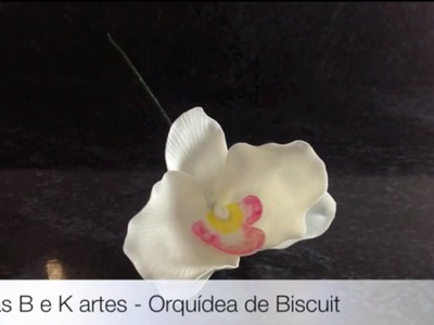 Dicas B e K artes - Orquídeas de Biscuit