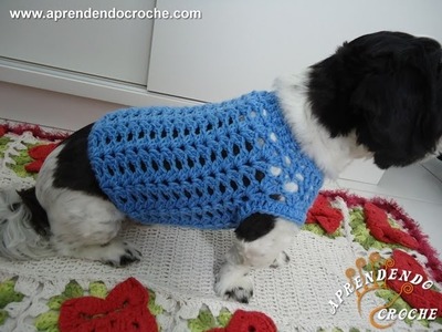Roupinha de Croche Cãozinho Fashion - Aprendendo Crochê