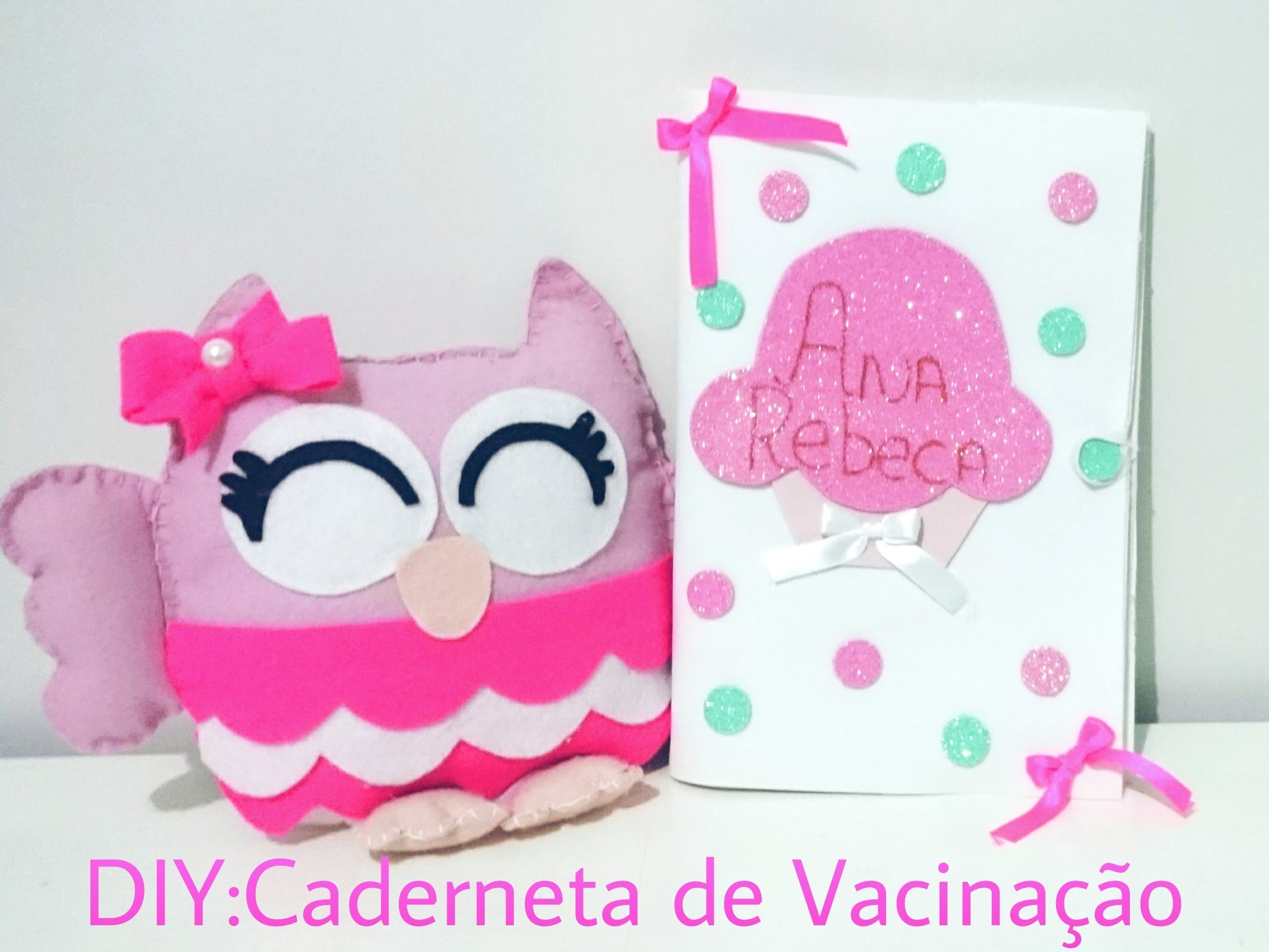 DIY:Capa de Caderneta de Vacinação em E.V.A(FÁCIL)
