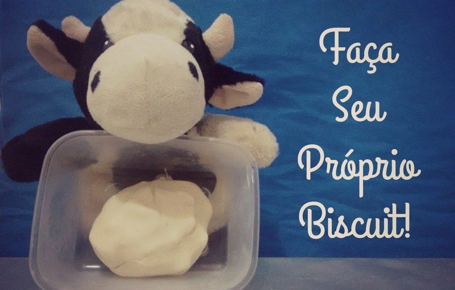 DIY Biscuit