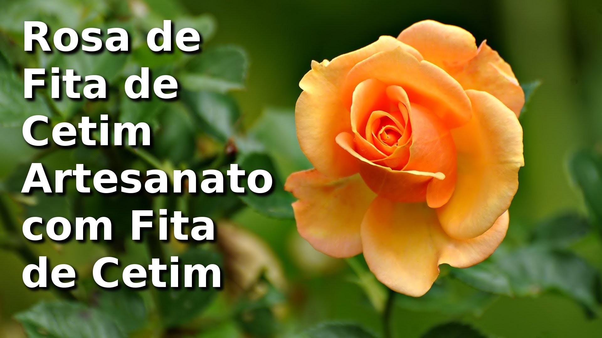 Rosa de Fita de Cetim - artesanato com fita de cetim