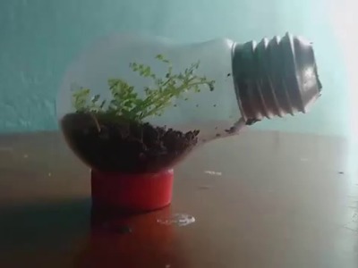 DIY - jardim dentro de uma lampada (terrário em uma lâmpada)