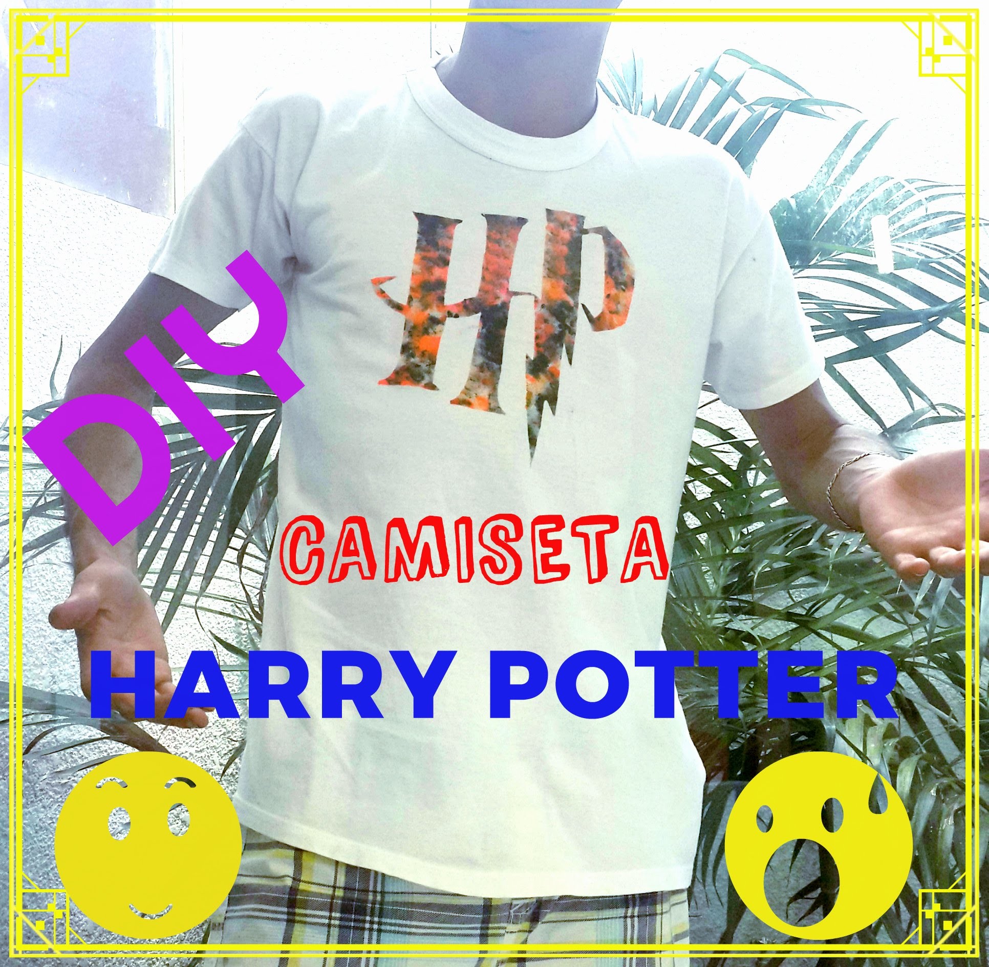 D.I.Y:: Camiseta Harry Potter. ✂