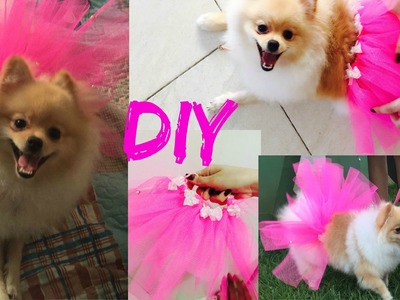 Faça você mesma (DIY) Fantasia de bailarina sem costura (para pets)