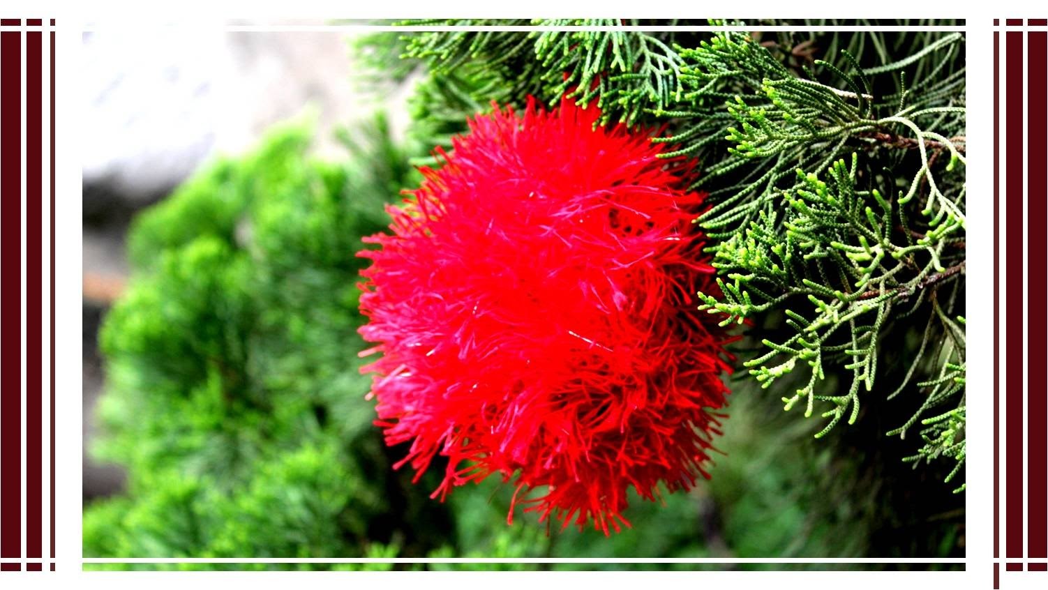 DIY: BOLINHA DE PLUMA - ESPECIAL NATAL | IDEIAS DIY!