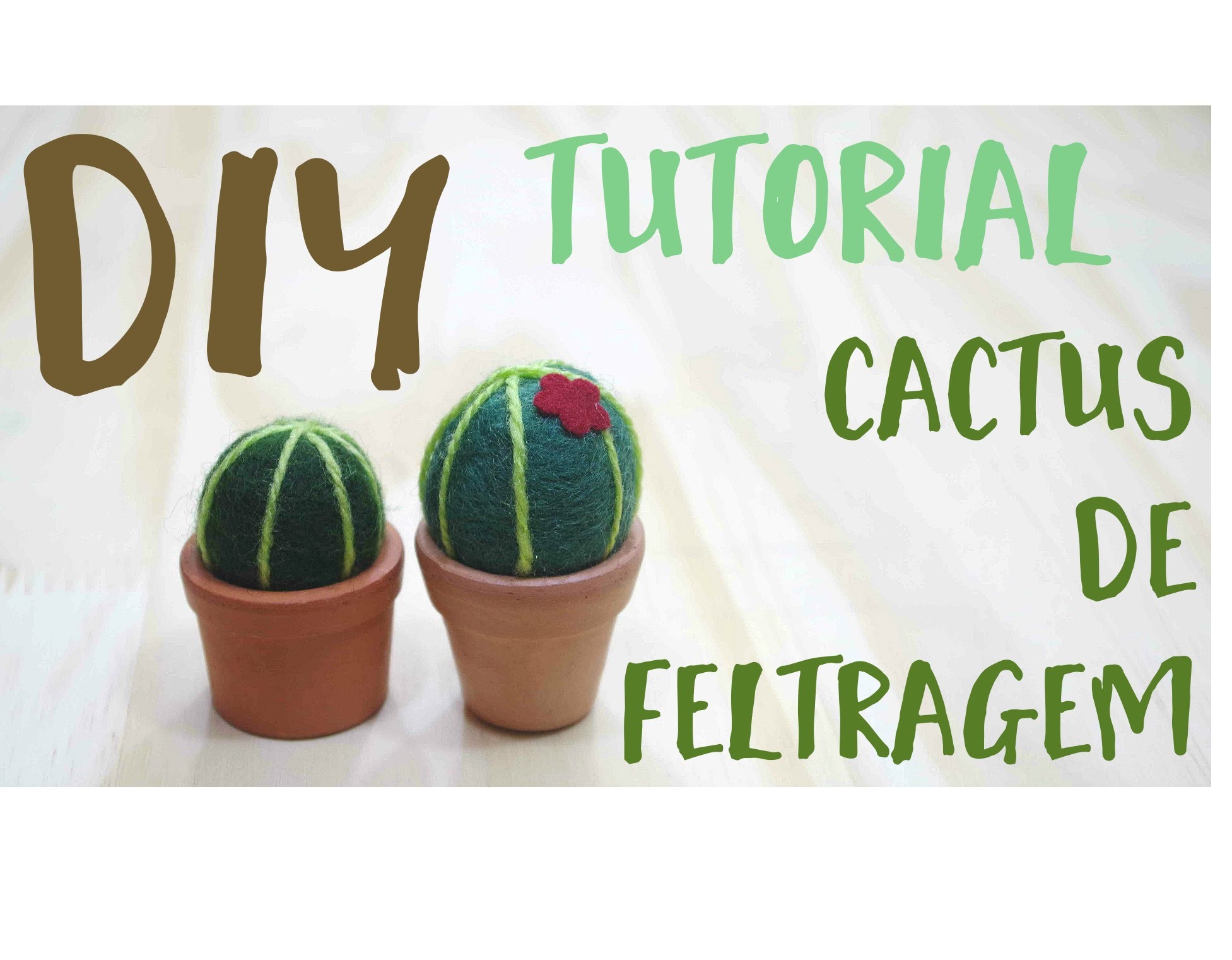 DIY   Cactus de feltragem