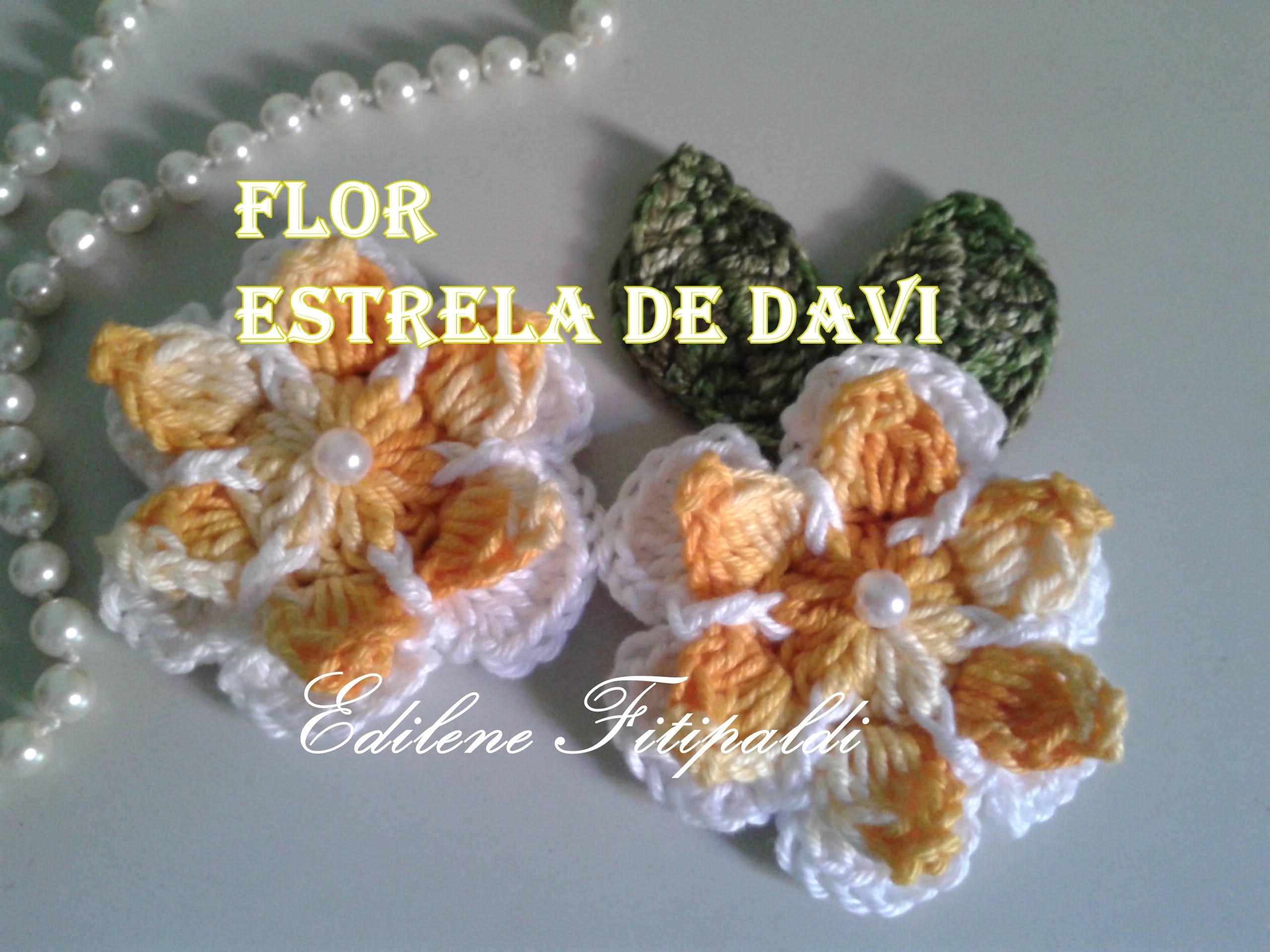 Flor Estrela de Davi #Coleção "Minhas flores em Crochê"