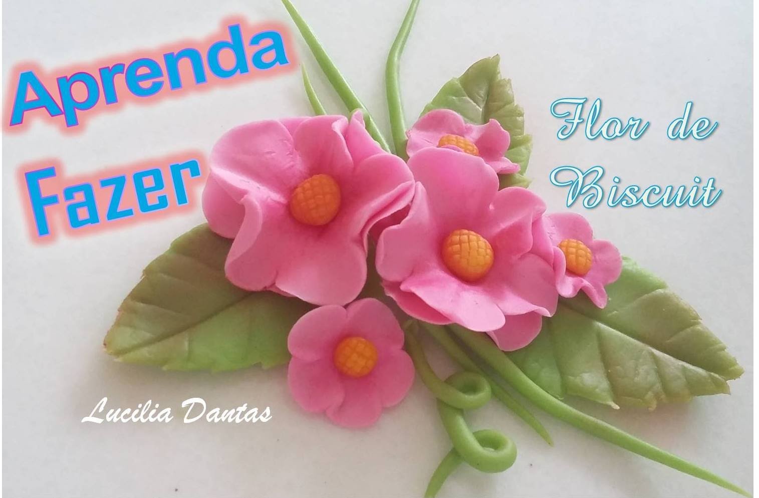 ♥ DIY-Flores simples e lindas_Lú Passo a Passo ♥