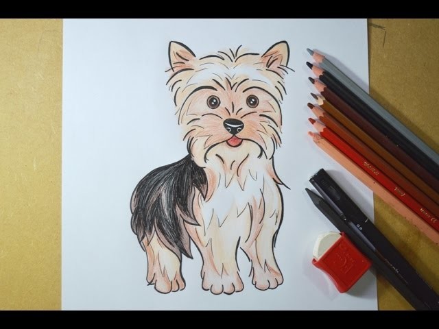 Como desenhar um cachorrinho Yorkshire