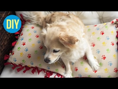 DIY: Caminha para cachorro! • Fácil e sem costurar