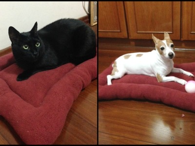 Como fazer cama de cachorro e gato