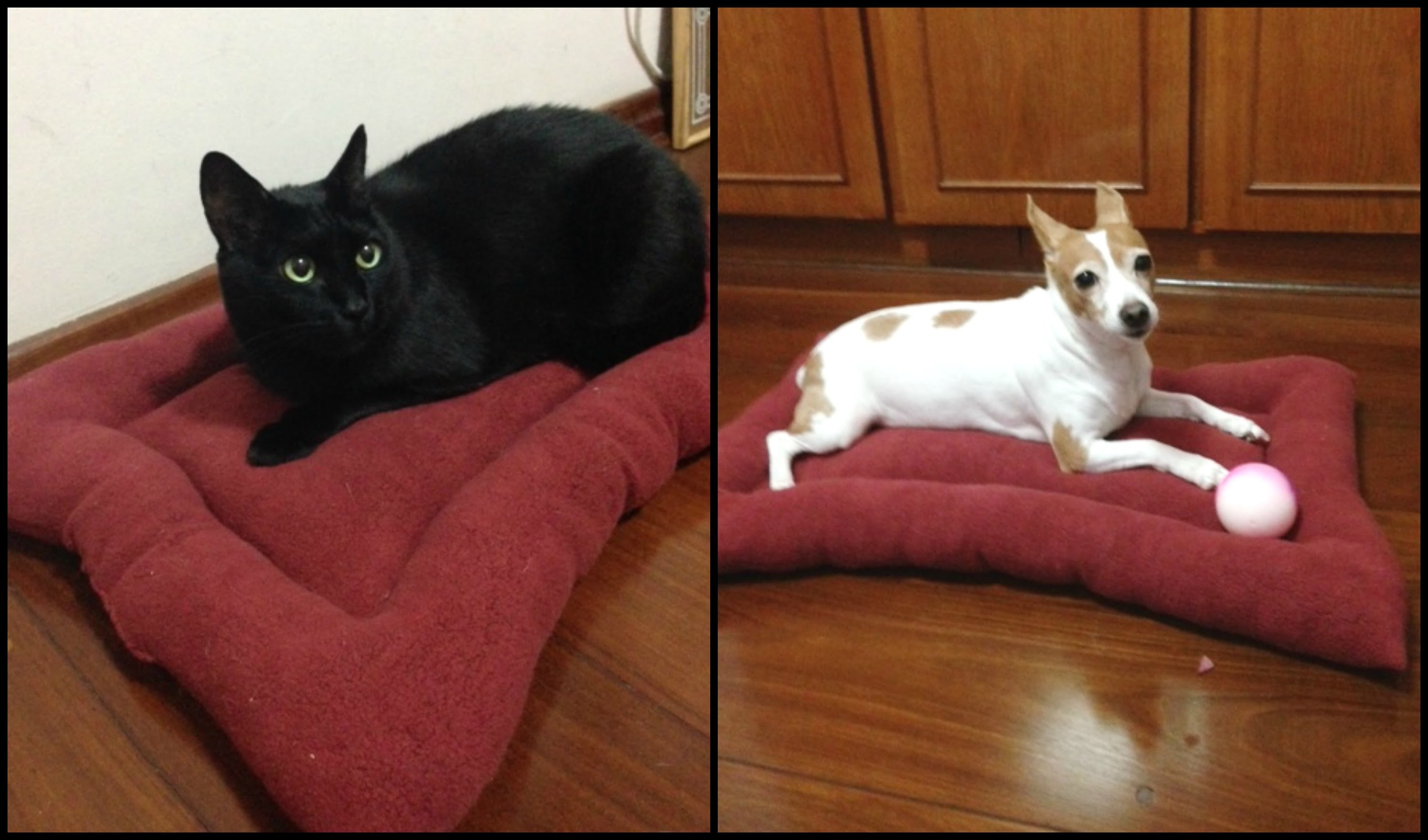 Como fazer cama de cachorro e gato