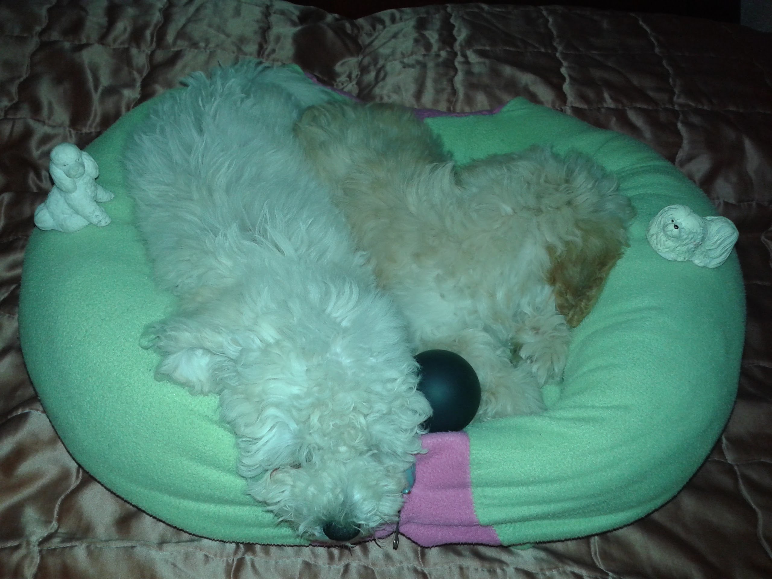 COMO FAZER UMA CAMINHA PARA CACHORROS PARTE 2