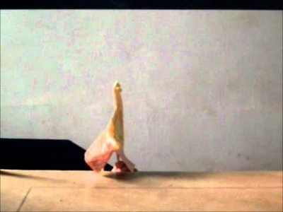 A Arca de Nãoé - Teatro de Origami