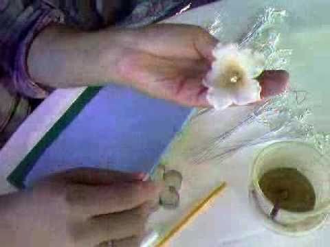 Video Flores Porcelana Fria