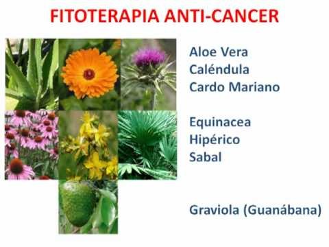 2. Como Prevenir el Câncer de Forma Natural (2ª parte)