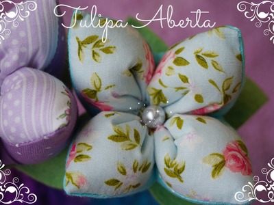 Tulipa Aberta