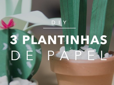 Casa Doce Casa - DIY: 3 plantas de papel