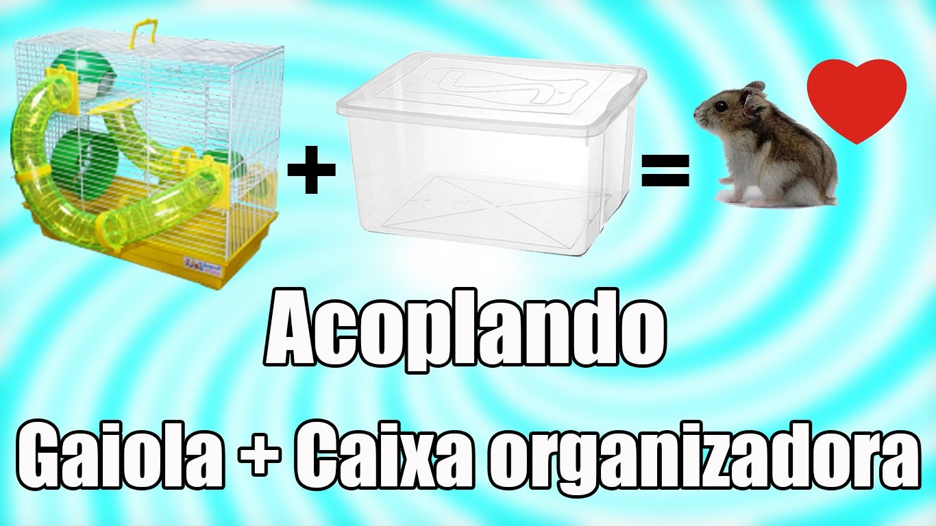 DIY #5: ACOPLANDO - Gaiola com Caixa organizadora (HAMSTERS)