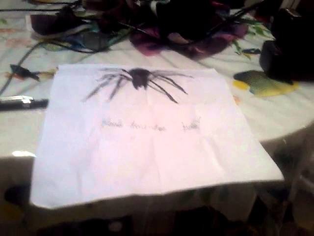 Anamorfismo aranha 3d