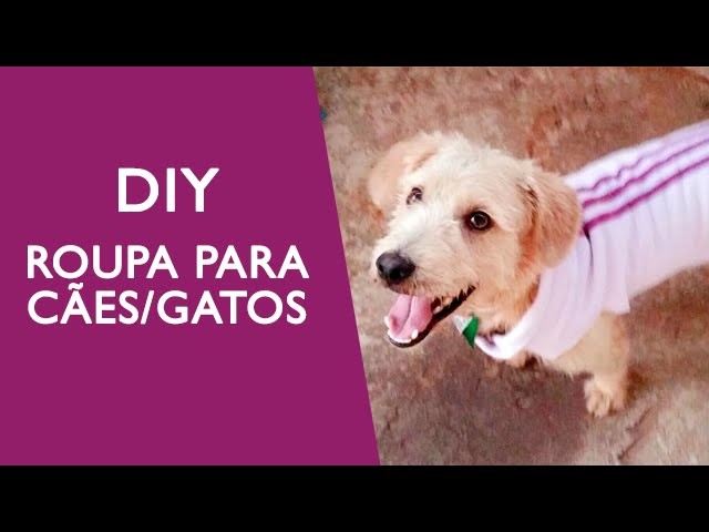 DIY - Roupa para Cães.Gatos