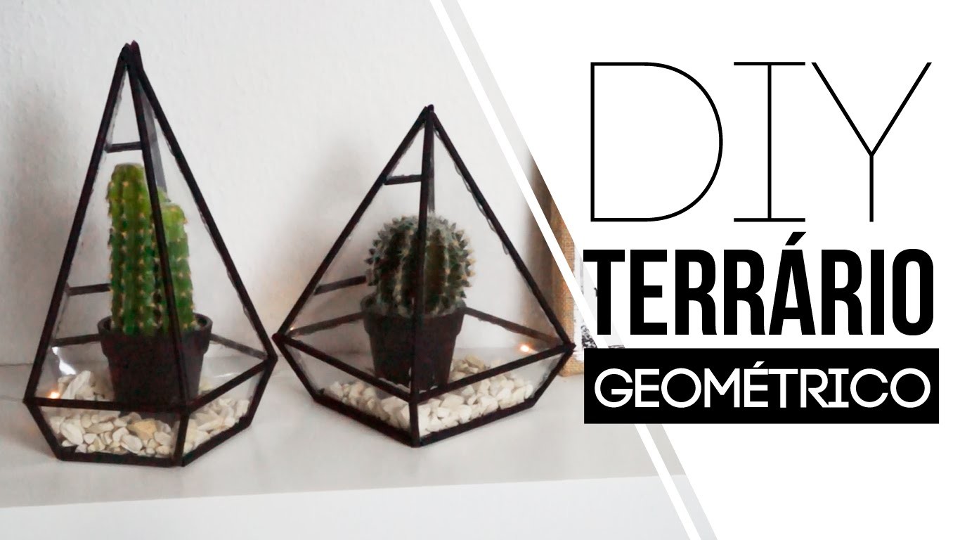 DIY - Terrário Geométrico  | Carol Ramos