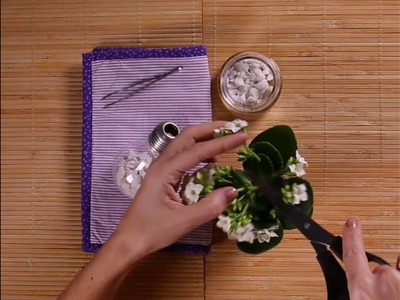 Terrário em lâmpada: como fazer o arranjo com flores?! #DIY 06