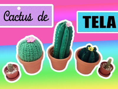 Cactus decorativos! - DIY -PAM