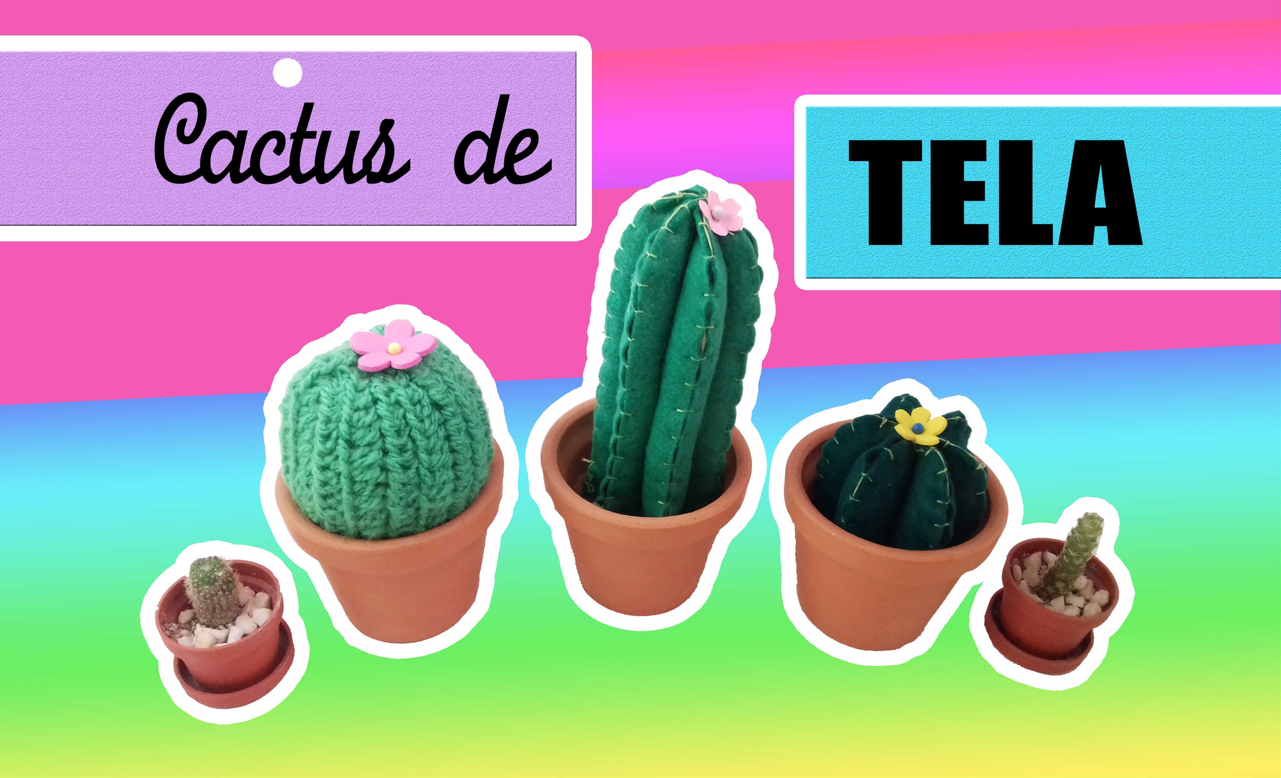Cactus decorativos! - DIY -PAM