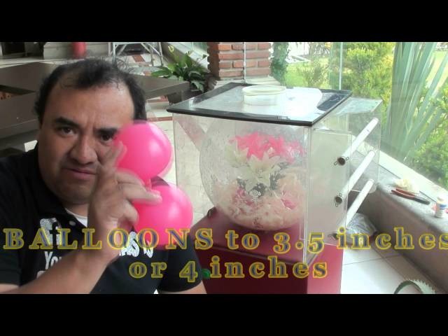 ARREGLO FLORAL DENTRO DEL GLOBO CHASTY