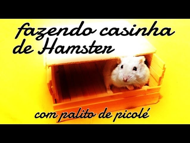 Como fazer casinha de palito de picolé para Hamster