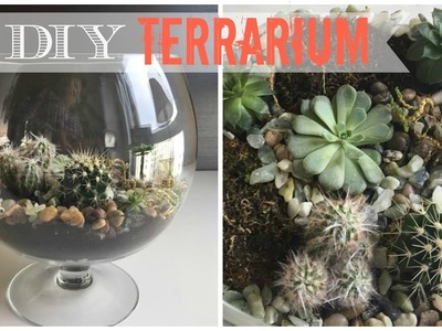 DIY: TERRARIUM