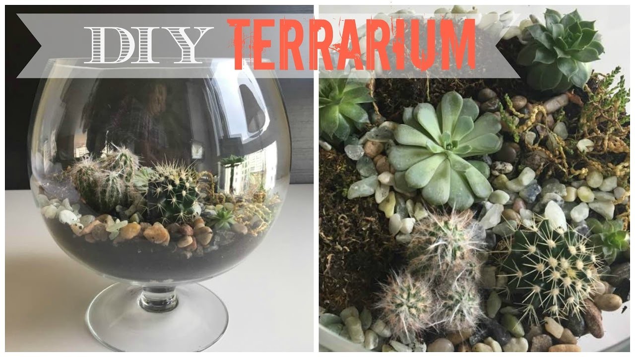 DIY: TERRARIUM