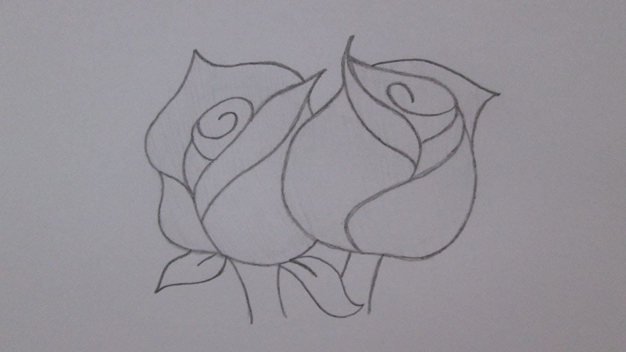 Como desenhar rosas