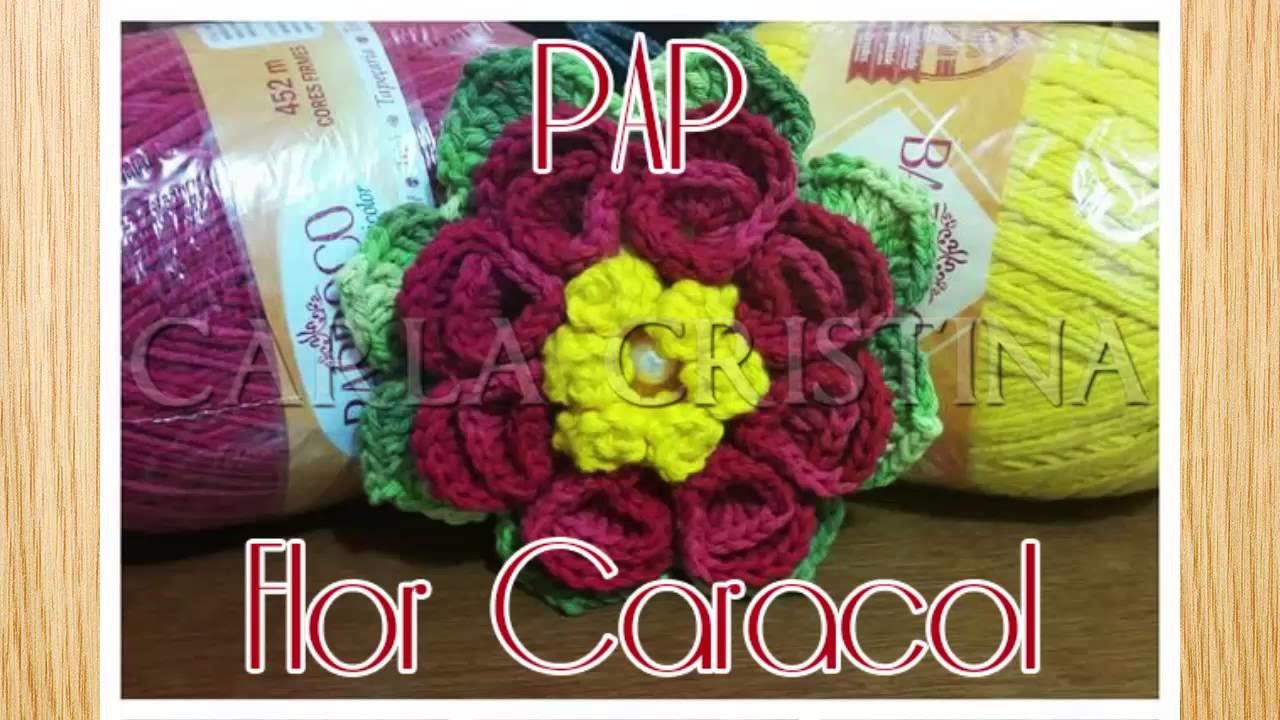 Pap Flor Caracol