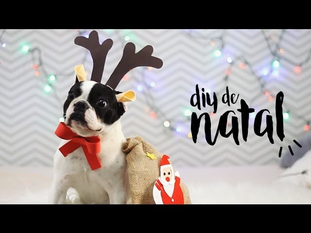 DIY de Natal | Fantasia de Rena para Cachorro