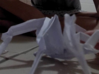 Meu origami de aranha!(armadeira)