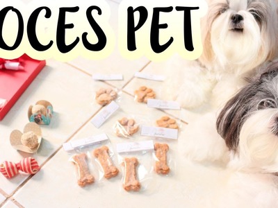 Festa Pet: Doces Personalizados, Lembrancinhas e Decoração Para Cachorros e Pessoas ❤ Lói Cúrcio