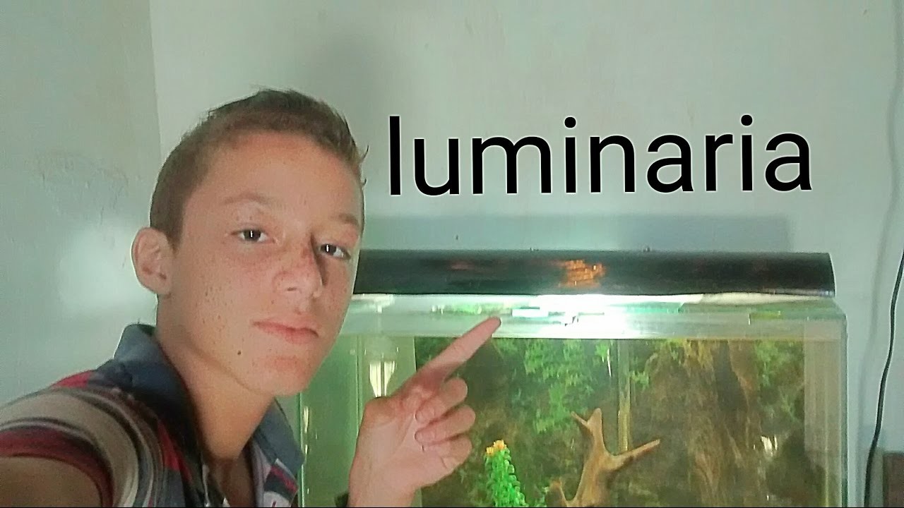 Como faze uma luminária caseira para o seu aquário.wilame aquarismo