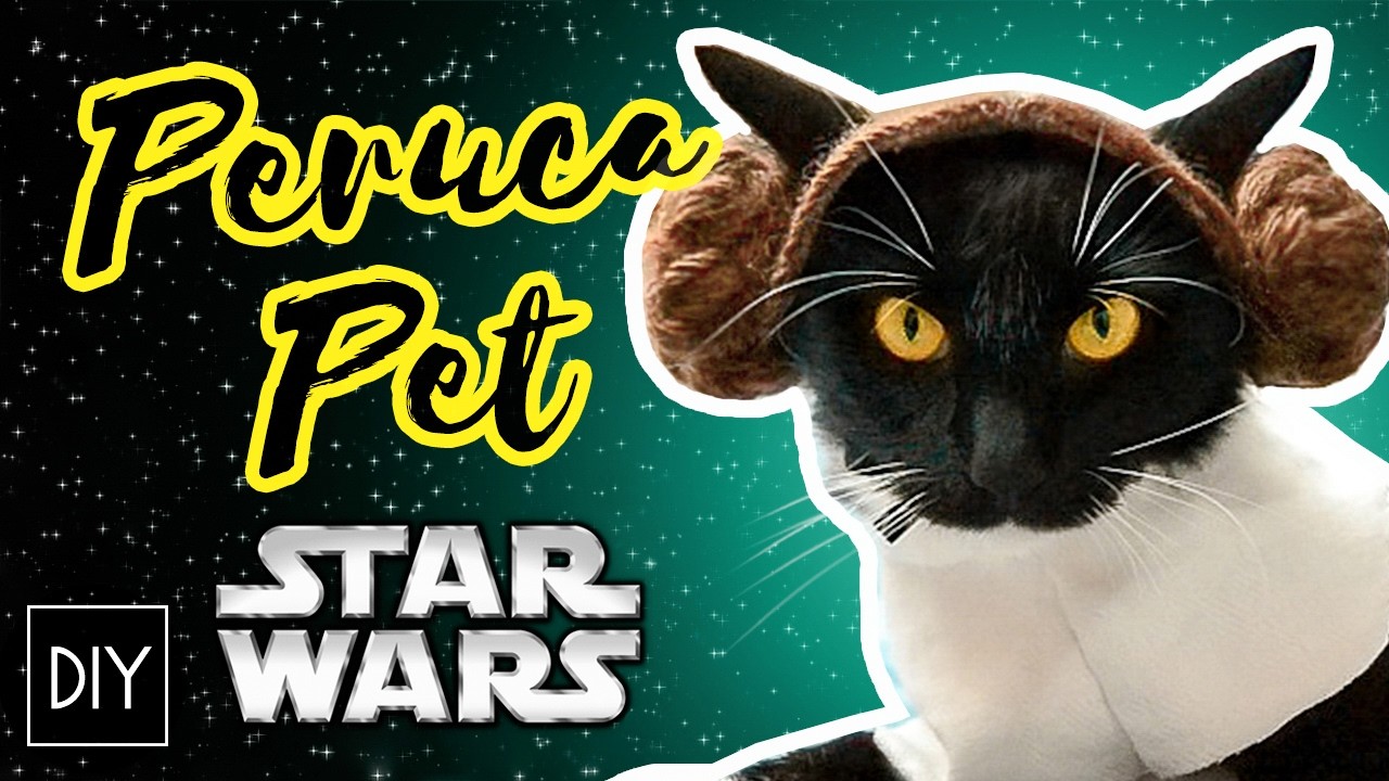 DIY: Peruca Princesa Leia para seu PET - STAR WARS (Cat Wig) | Dan Pugno