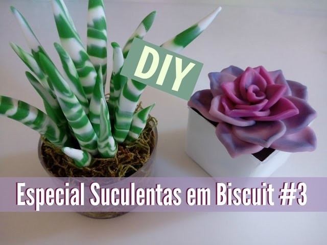 DIY - Arranjo de Suculentas em biscuit #3