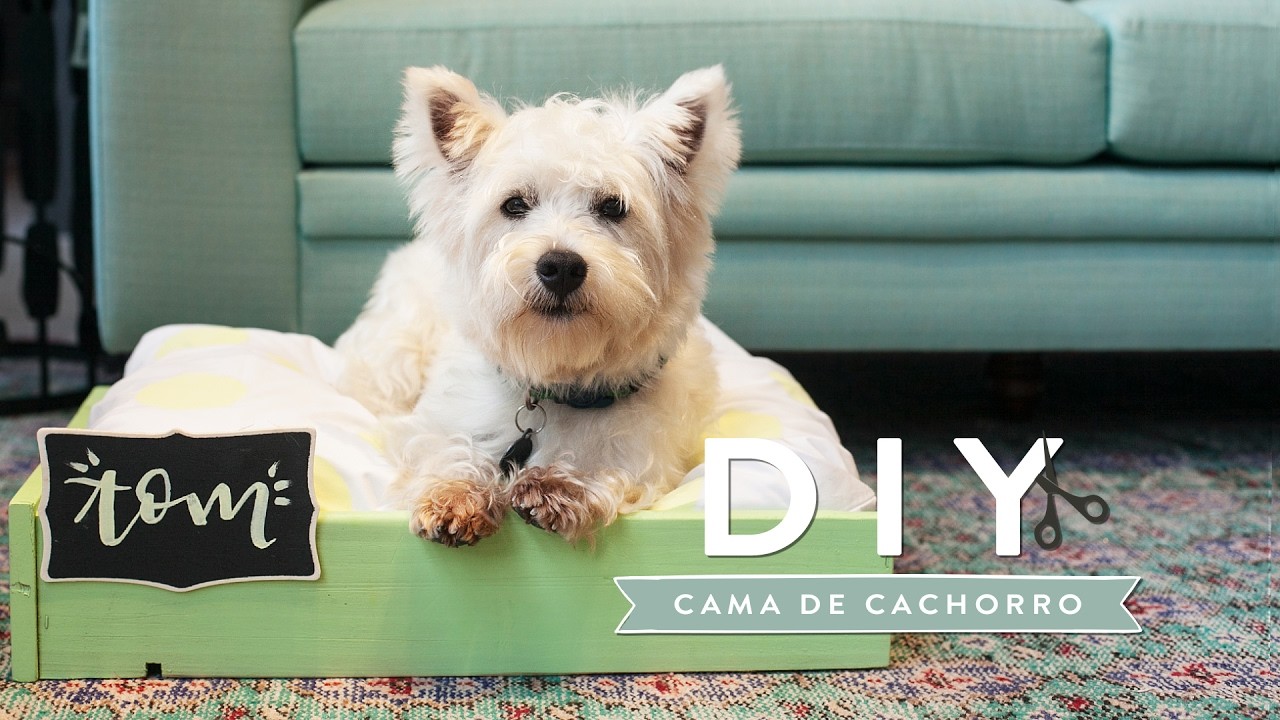 DIY: Cama para cachorro | WESTWING