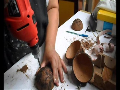 Cachepô de casca de coco