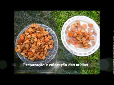 Vídeo Filtro Artesanal para Água de Lagos e Açudes.wmv