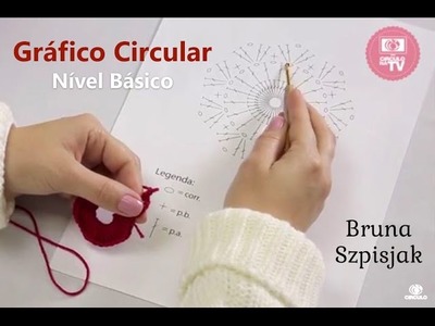 Bruna Szpisjak - Gráfico Circular (Nível Básico)